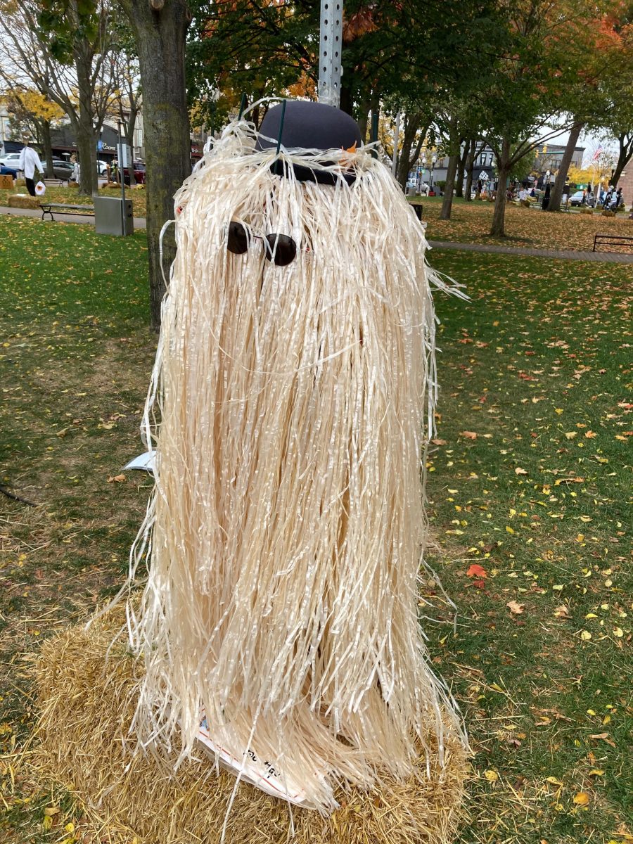 PHOTOS 2022 Scarecrows in Kellogg Park (Plymouth, MI) AmericaJR